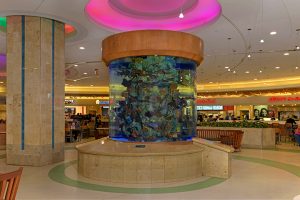 Fish Tank in Terminals A & B