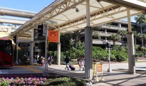 Commercial Curb Walkway